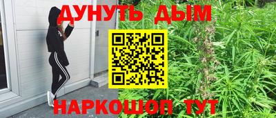 дживик Гатчина