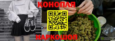 дживик Гатчина